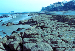 Bembridge shore © MC