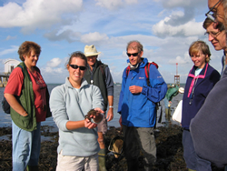 Looking at marine life on Bembridge Ledges © CP