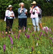Botany Section meeting at Havenstreet (c) GT