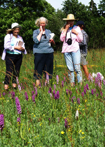 Botany Section meeting at Havenstreet (c) GT