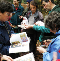 Fungus Foray, Parkhurst Forest (c) MC