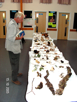 Dr David Biggs inspects the Fungus found on the foray © GT