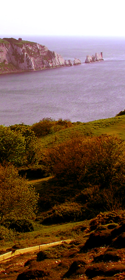 view of the Needles from Headon Warren © GT