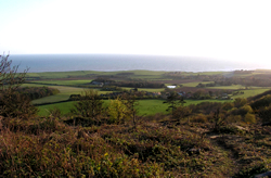 view from Mottistone Down © GT