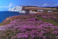 view from Freshwater Bay towards Tennyson Down © MC